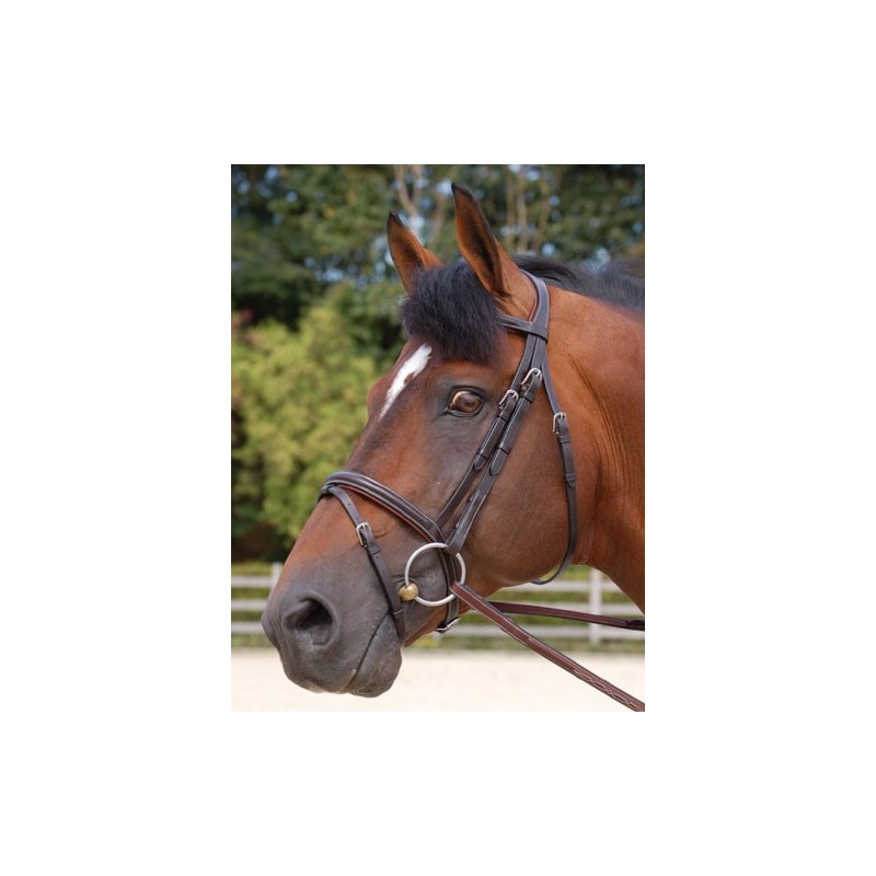 Dyon Classic flash noseband bridle