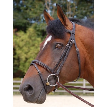Dyon Classic flash noseband bridle