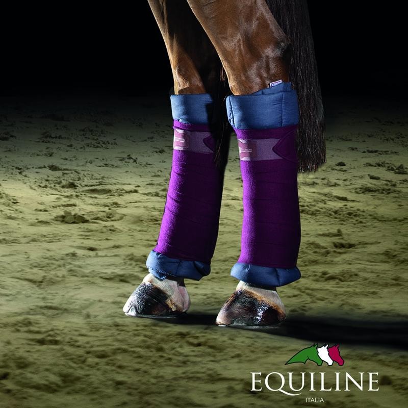 Equiline pintelipatjat