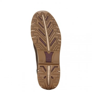 Ariat Telluride II H2O shoes 2