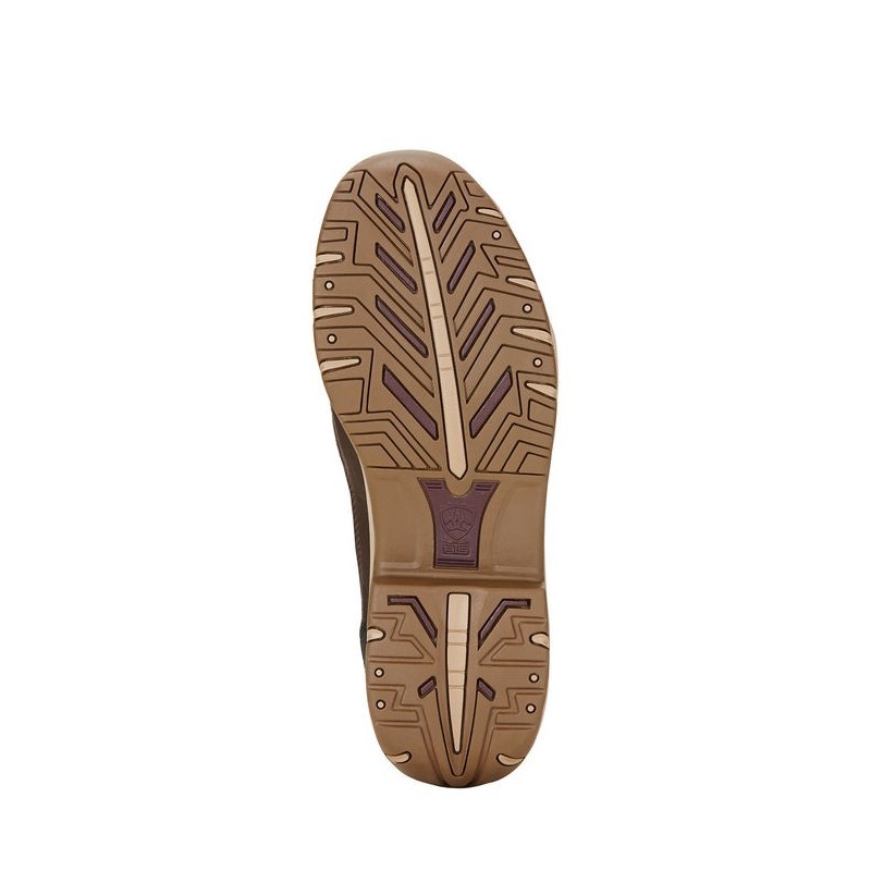 Ariat Telluride II H2O shoes