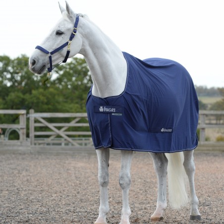 Bucas Shamrock Power