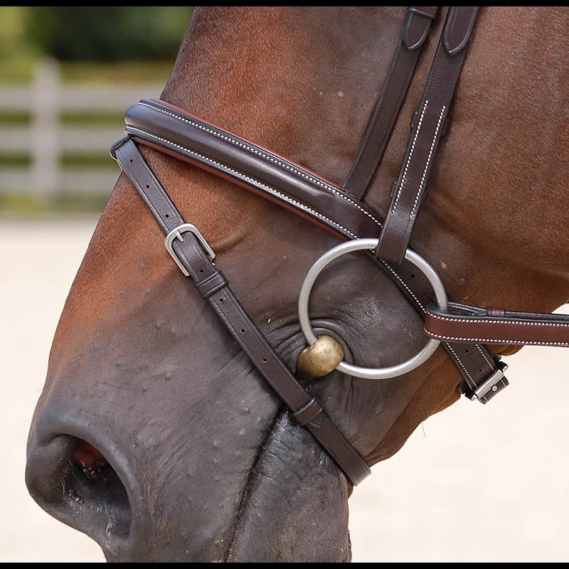 Dyon Classic flash noseband bridle