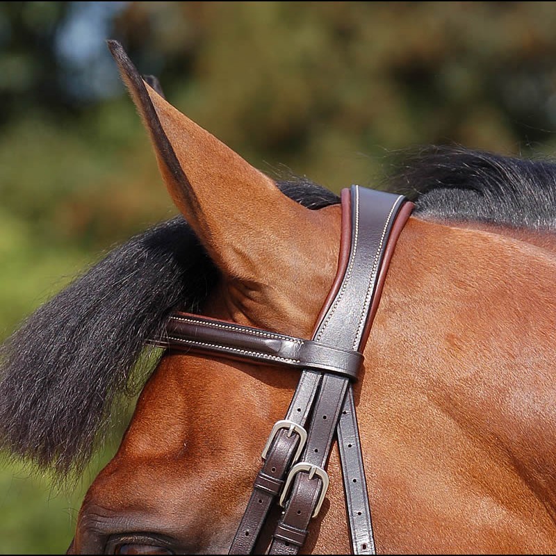 Dyon Classic flash noseband bridle
