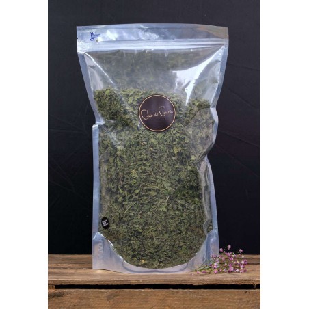 Chia de Gracia Nettle