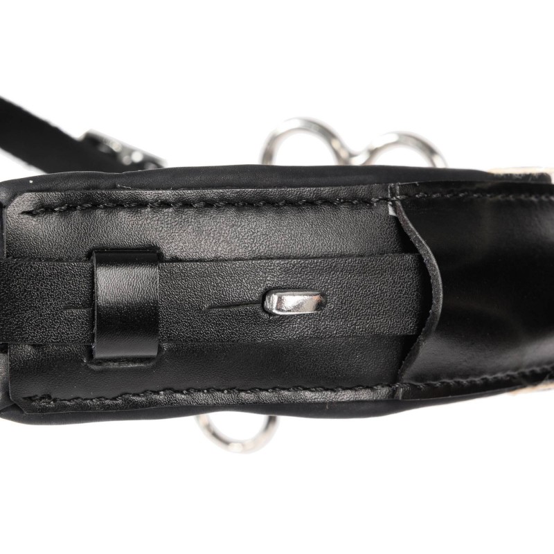 Globus kukkahackamore