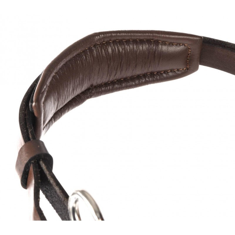 Globus kukkahackamore