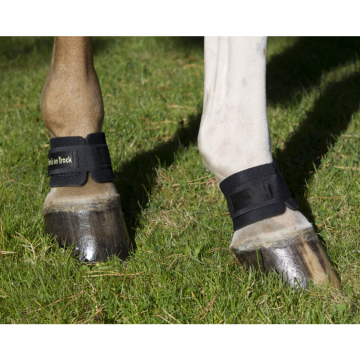 Back on Track Vuohissuojat 2