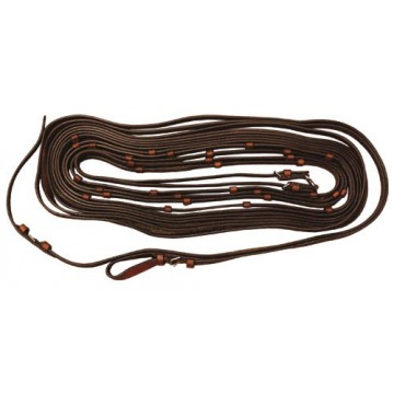 Globus Trotting Reins