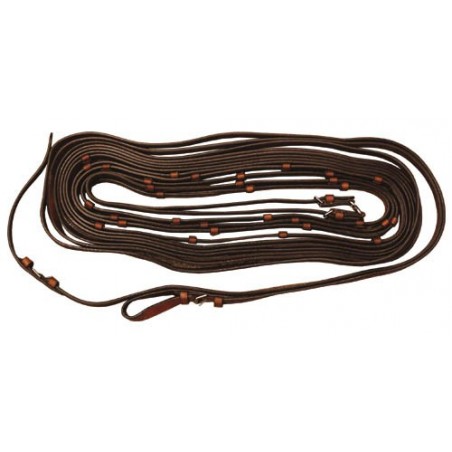 Globus Trotting Reins