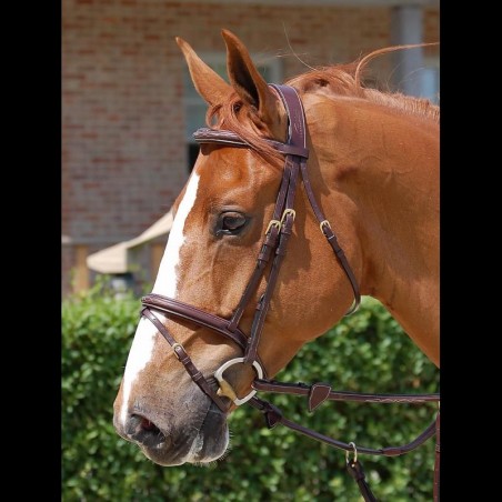 Dyon Collection Anatomic Anatomiset Suitset, full, ruskeat