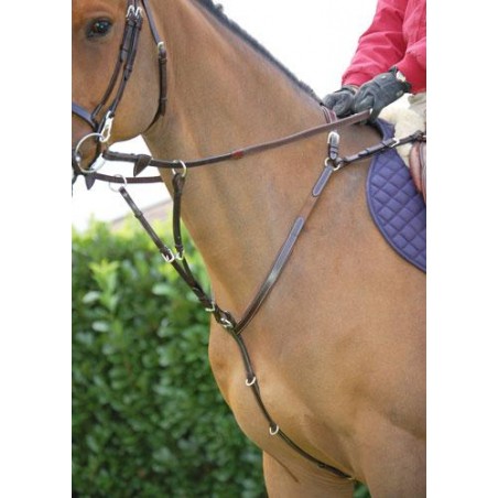 Dyo'n rintaremmi martigaali