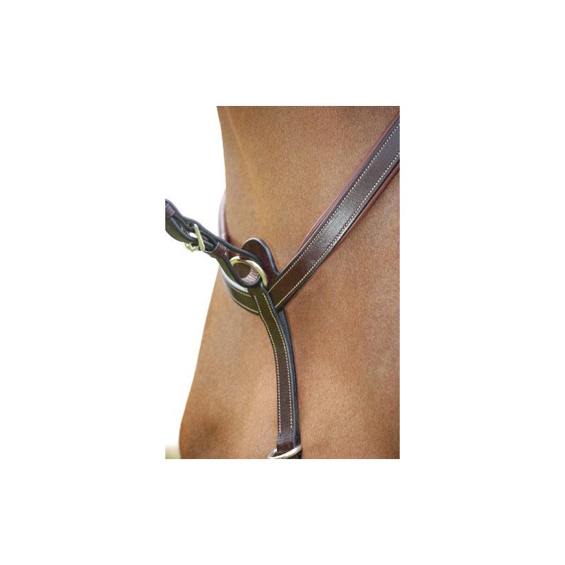 Dyo'n rintaremmi martigaali