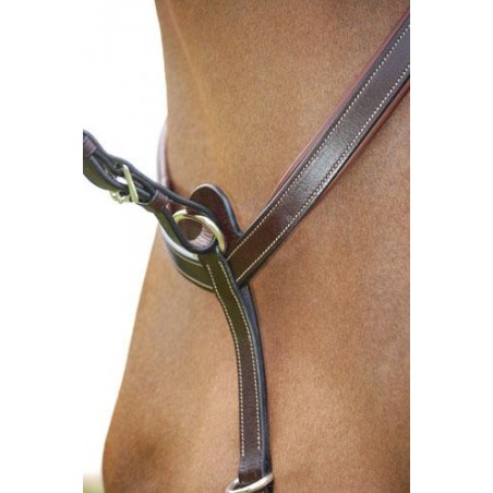 Dyo'n rintaremmi martigaali