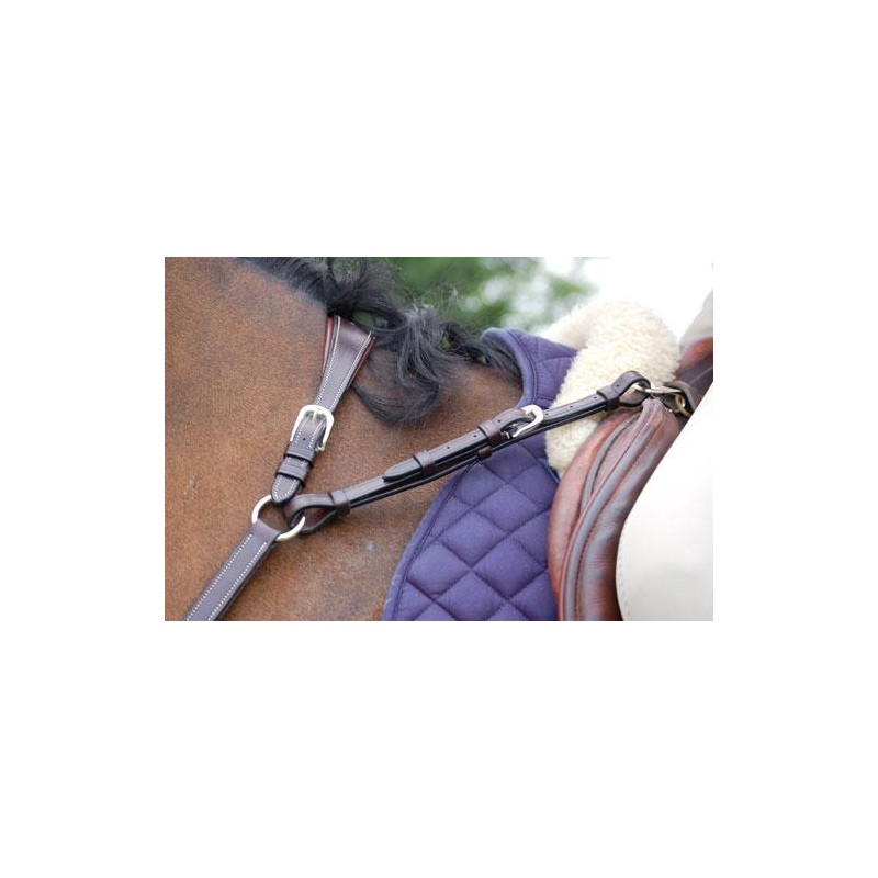 Dyo'n rintaremmi martigaali