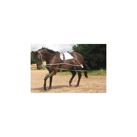 Waldhasuen  Juoksutusysteemi