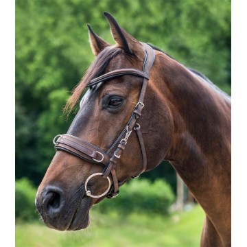 Waldhausen anatomisesti muotoiltu Kapsoni