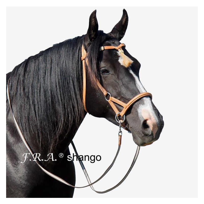 F.R.A F.R.A. Shango Sidepull bridles