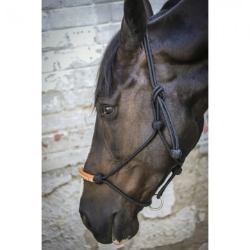 PENELOPE "American" Rope halter 2