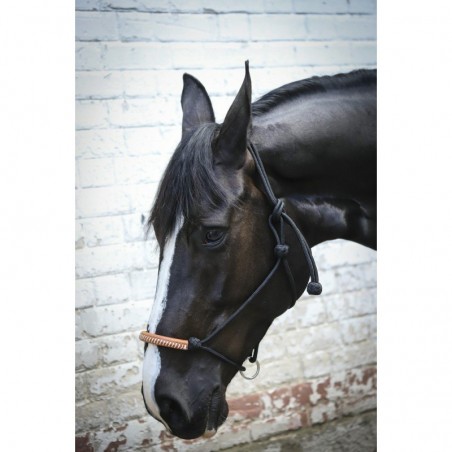 PENELOPE "American" Rope halter