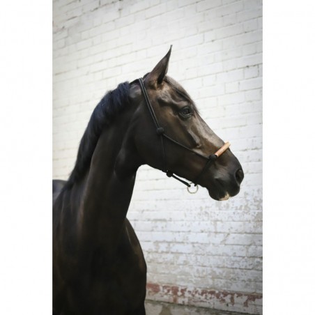 PENELOPE "American" Rope halter