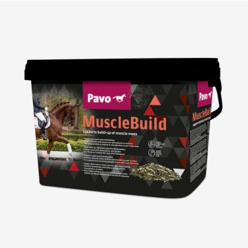 Pavo Muscle Build