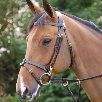 Dyon Working suitset sileällä turpahihnalla