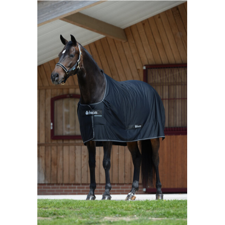 Bucas Shamrock Power monikäyttöloimi