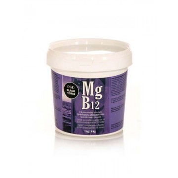 Black Horse Mg B12 magnesiumvalmiste 1kg
