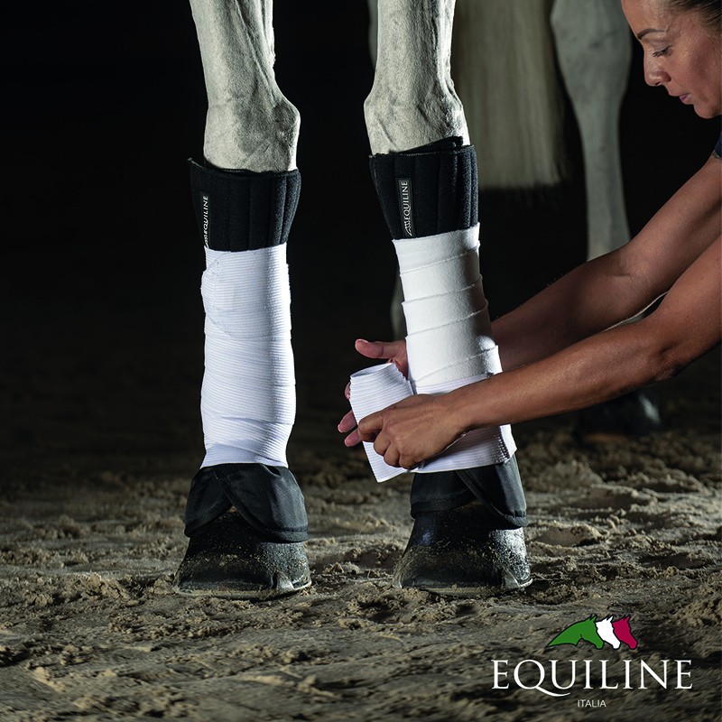 Equiline Xaviar pintelin aluset  4 kpl