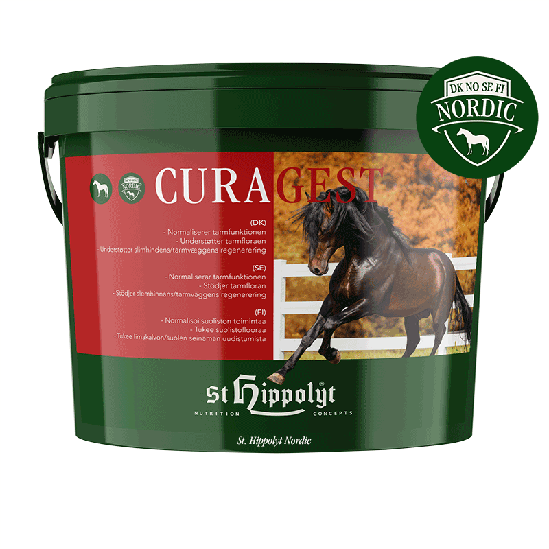 St Hippolyt Curagest 3kg- vatsan hyvinvointiin