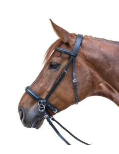 Waldhausen kuolaimettomat suitset