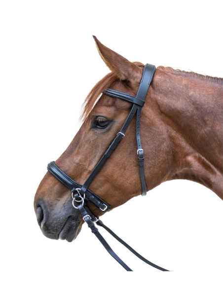 Waldhausen STAR Bitless Bridle