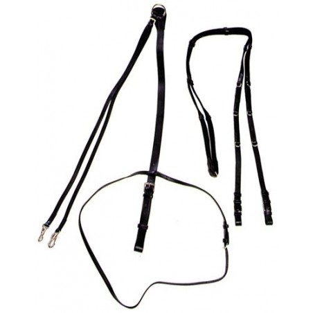 Globus Thiedemann German Martingale Rein Set