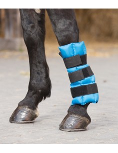 Waldhausen kylmäyssuoja 2