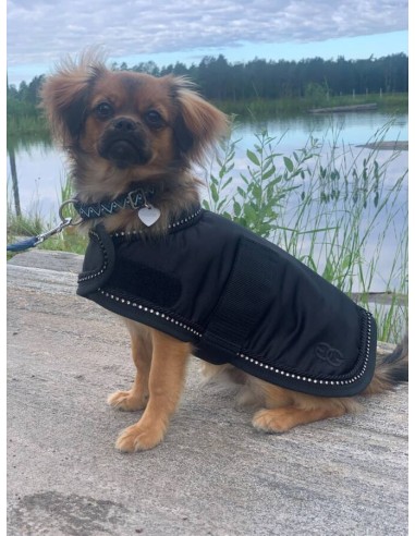 GlennGordon koirantakki