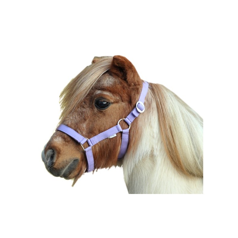 HKM Head-collar for Mini-shetty