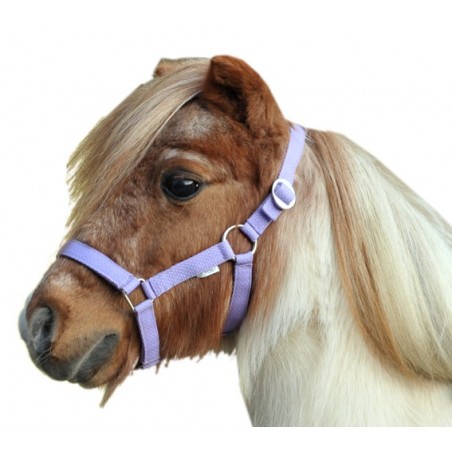 HKM Head-collar for Mini-shetty