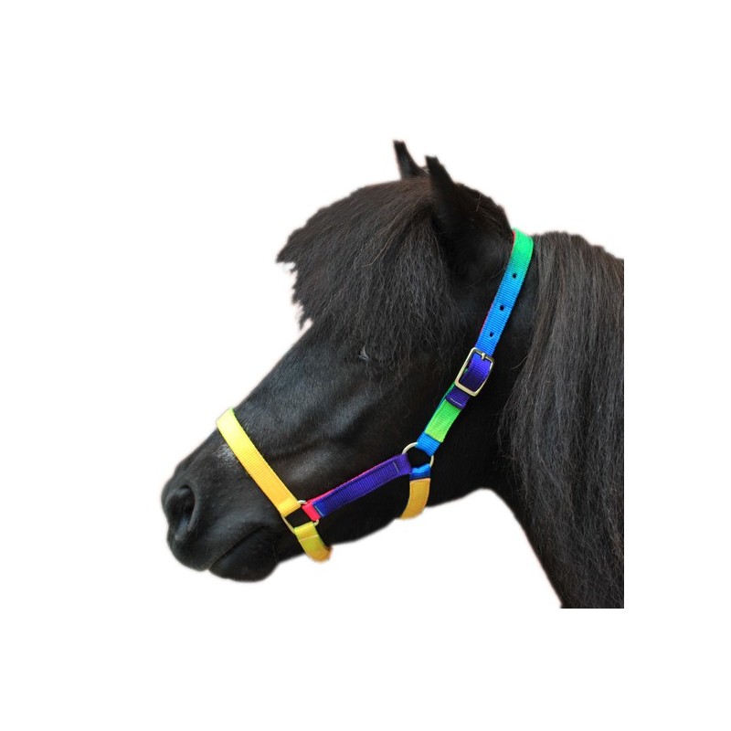 HKM Shetland pony head collar