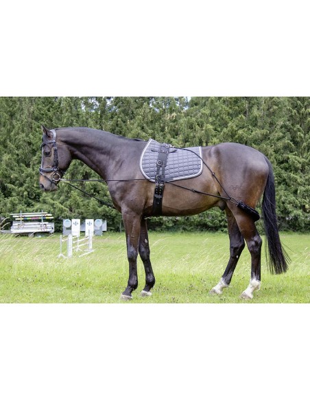 Waldhausen / HKM pessoa juoksutusysteemi