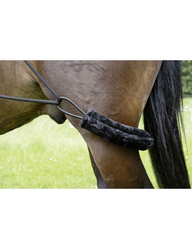 Waldhausen / HKM pessoa juoksutusysteemi