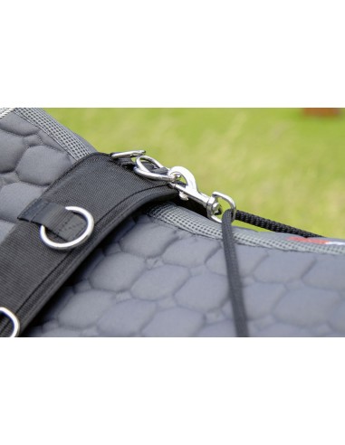 Waldhausen / HKM pessoa juoksutusysteemi