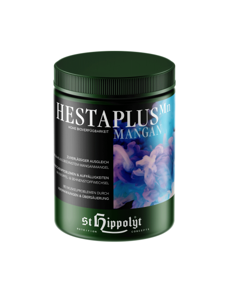 St. Hippolyt Hestaplus Mangaani