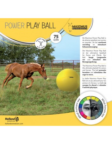 Wahlsten MAXIMUS POWER LEIKKIPALLO 75 CM