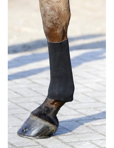 Kentucky tendon grip sock