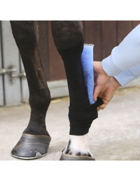 Kentucky tendon grip sock
