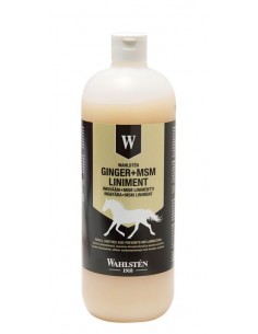 W-Ginger + MSM Liniment 1l