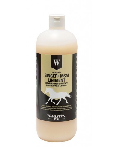 W-Ginger + MSM Liniment 1l