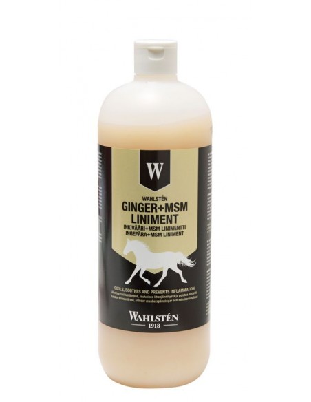 W-Ginger + MSM Liniment 1l