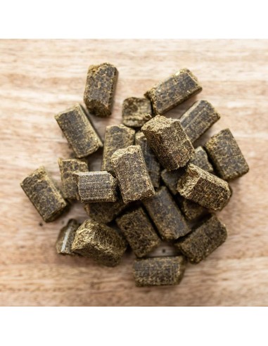 St. Hippolyt Glyx Lobs - Every horse can enjoy this tasty treat.